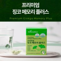 은행잎 두뇌영양제 혈관 기억력개선 포스파티딜콜린