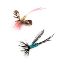 앨리house / 펫모닝 캣피싱 허니허니 토이 리필 PMC-374 고양이장난감, 단일 수량