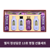 엘지생활건강 선물세트 정성담은 13호 엘라스틴 샴푸 선물세트, 1개
