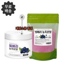 빌베리분말 추출물 가루 농축분말 파우더 분말 천연눈영양제 루테인 지안잔틴 효능 250g 500g, 1-3.빌베리 농축분말 250g 3통