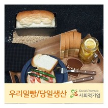 씨튼베이커리 통밀로 만든 맛있는 씨튼우리밀통밀식빵