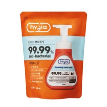하이지아 거품형 핸드워시 유칼립투스 리필, 350ml, 24개