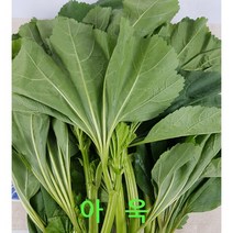 행복한식탁 국내산 아욱 4kg내외 박스