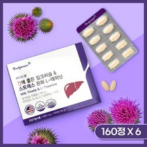 스트레스 완화 L-테아닌 간 에좋은 밀크씨슬 영양제 엘 테아닌 L theanine 신경 마음 불안 스트레스 안정 하루 케어, 6개, 160정
