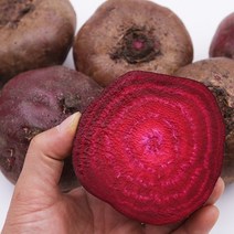 레드비트 2-10kg 예천 햇 비트 산지직송, 4kg