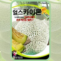 주주씨앗 과채류 씨앗 76종 모음 오이 수박 가지 참외 딸기 수세미 조롱박 호박 방울 토마토 여주 고추 멜론 애플 메론 파프리카 단호박 완숙 땅콩호박 머크아, 45. 얼스카이론(춘추계전용) 100립