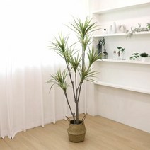 1300K 고급 인조나무 조화화분 드라세나 마지나타 180cm, 단품