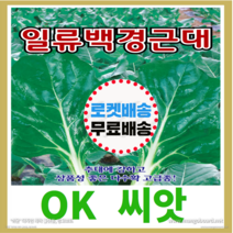 [OK씨앗] [일류백경근대] 근대씨앗 종자(오케이씨앗), 10g