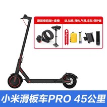 퀵보드 스쿠터 이동수단 스피드 전동 대리 듀얼 킥보드 전기보드 튜닝, 36V, [45km] 킥보드 프로+오리지널 시트+비밀번호 잠금
