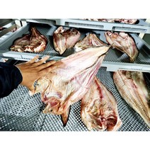 [통영직송] 잘말린 통영 건조 물메기 곰치 꼼치 물미거지, 잘말린 통영 건조물메기 2미 대사이즈(300g내외)