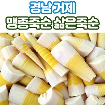 산지직송 거제 죽순 맹종죽 삶은죽순 500g 1kg, 삶은죽순_500g_x1박스