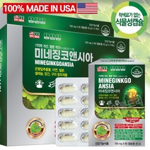 미국직수입 혈행개선 미네징코앤시아 120캡슐 6중복합(은행잎추출물+미네랄5종)아연 셀레늄, 2개