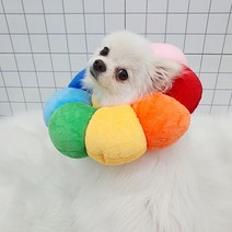 강아지 고양이 중성화 넥카라 목쿠션, 오렌지, XS