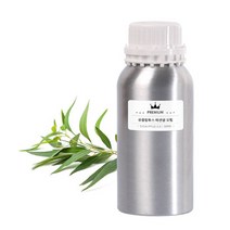 유칼립투스(글루블루스 EO, 유칼립 글루부르스EO-100ml