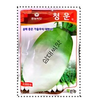 청운무종자 가을 김장무 씨앗 2000립 팜한농, 1개