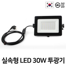 실속형 LED 30W 50W 투광기 투광등 작업등 국산 KS KC인증 엔와이엘이디, 3. 30W실속형 플러그 -주광색, 1개