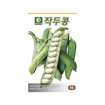 다수확품종 작두콩 씨앗 5립 조경소재 가능 초세 강함, 단품