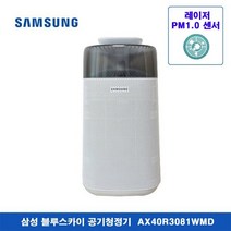 삼성전자 블루스카이 공기청정기 AX40R3081WMD 40㎡