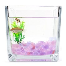 어항 자갈 퍼플 핑크 꾸미기 구피 유리 컬러 250g 돌 알비노폴레드구피 30큐브어항 미니어항, 믹스퍼플돌