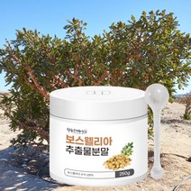참좋은데이 보스웰리아 추출물분말, 250g, 1개