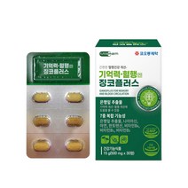 코오롱제약 징코 혈액순환 개선제 징코플러스 기억력혈행엔 은행잎추출물 GINKGO 나이아신 활력비타민 30정