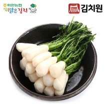 김치원 절임알타리 10kg 청정해남 화원농협