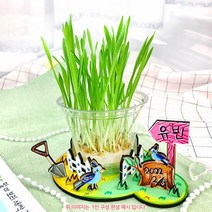 새싹 밀 보리 키우기+관찰일지 (옵션)