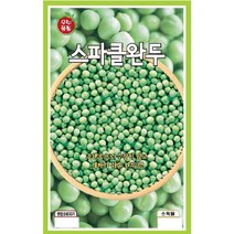 옥수수/콩/곡류 씨앗] 스파클완두 50g