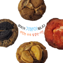 수제쿠키 답례품쿠키 결혼 선물 전문점, 르뱅 더블치즈