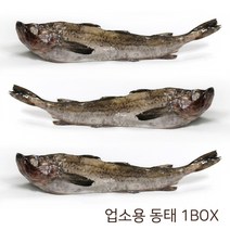 동태 21.5kg전후, 1박스, 6통 21.5kg전후(24마리)