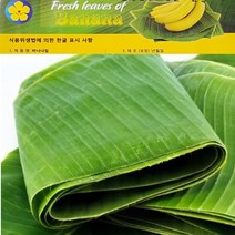 [프리미엄] 바나나잎 (Banana leaves), 1팩, 1kg