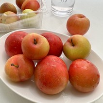 (23년 햇자두) 프리미엄 고당도 로얄 대석 자두 햇자두 500g 1kg 산지직송 새콤달콤 첫출하 하우스 대석자두 대과 제철과일 과일선물, 1개