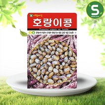 솔림텃밭몰 호랑이콩씨앗 30g 강낭콩씨앗 호랑이넝쿨강낭콩씨앗, 단품
