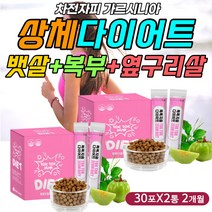 상체 다이어트 상복부 하복부 뱃살 윗배 아랫배 등살 컷팅제 아르기닌 마카 카르니틴 레몬밤 알로에 분말 파우더 락토바실러스 가세리 팔뚝살 얼굴살 턱살 셀룰라이트 빼는법 감량 감소