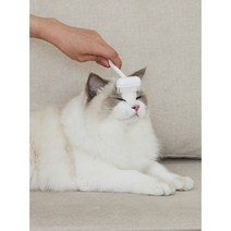 일루 그루밍 고양이빗, 1개, 화이트