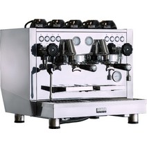 고품질과 우아한 디자인을 가진 220-240v welhome 상업 2group 커피 머신전문 커피 머신 2groups, 스테인레스 스틸, 씨엔