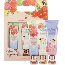 참존 뉴 에어리 스탠딩 아이크림 3종 세트 50ml*3개, 1세트