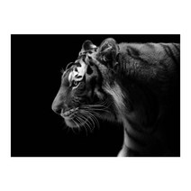 돈이들어오는 동물 우드 직소퍼즐 호랑이 행운 금전 상징 그림 300 500 1000피스 선물용 집중력향상 성인용 장난감, 1000, 나