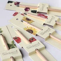 (꿈쟁이) 씨앗연필 1개입_재미있는 씨앗심기_2487EA, 나팔꽃