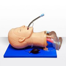 기도확보실습모형 (라링고스코프 포함), 1개