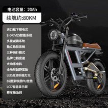 전기자전거 Phoenix SD1 20인치 오프로드 레트로 빈티지 산악자전거 전동자토바이, A 20ah, 48V