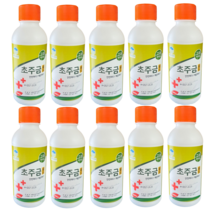 초주금 골드 10개, 500ml