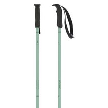 아토믹 스키폴대 Atomic 폴란드 Cloud, 셔벗 같은 115cm