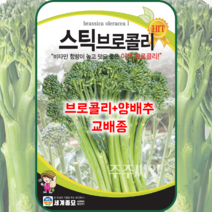 주주씨앗 스틱브로콜리 씨앗 100립 양배추 교배종 채소 세계종묘