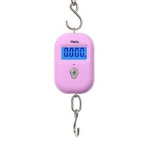 크레인 저울 산업용 휴대용 미니 벽걸이 정밀 전자 디지털 규모 50Kg 5g 무게 포켓, 분홍색