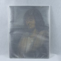 보름달비닐 미술품 포장 액자보관 파우치 1호부터 30호(각10매), 10매, 6호(37X50)