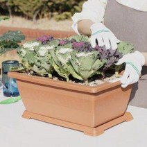 홈가드닝 옥상 베란다 친환경 유기농라이프 텃밭 화분/텃밭/미니정원/베란다/가든/가드닝/상추/당근/식물재배/채소키우기/모종