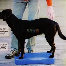 핏퍼즈 핏본 Fitpaws K9FITbone CanineGym, K9-아쿠아(58X28)