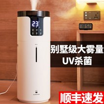 자연기화식가습기 Bures/Bairs 대형 천장부터 바닥까지 내려오는 대형 공기 가습기 홈 음소거 침실 임산부 대형 스프레이 용량 에어컨, [06] 10L 멸균