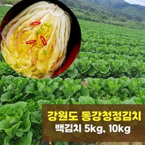 동강청정김치 강원도 영월 백김치 5kg/10kg, 10kg
